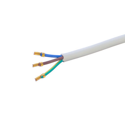 Personalizzazione Brasile 10A/250V 3 Pin Plug 3x0.75MM2 PS4 Cavo di alimentazione per lampada di sale Certificato DIN VDE 0620/EN 50075 1990