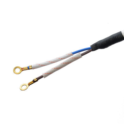 CEE 16A Cavo elettrico di ferro di cotone VDE Nero Bianco Corde di alimentazione Ac Alimentare a vapore Apparecchio domestico H03RT-F 3x42/0.15mm Tipo di estremità maschile